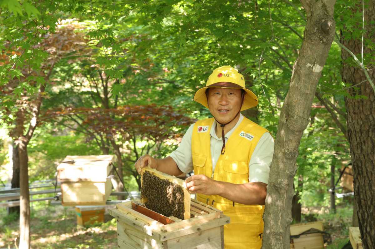 ▲LG가 조성한 토종 꿀벌 서식지에서 김대립 명인이 토종 꿀벌의 생육 상태를 점검하고 있다. (사진제공-LG전자)