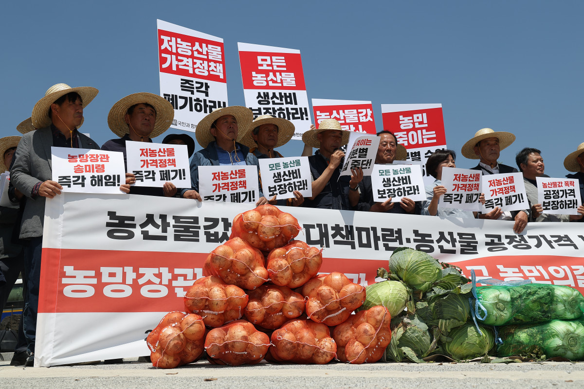 ▲국민과 함께하는 농민의길이 5월 13일 서울 종로구 청와대 인근에서 연 '농산물값 폭락·산지폐기 중단·공정가격 보장 및 송미령 장관 해임 촉구 기자회견'에서 참가자들이 손팻말을 들고 있다. (연합뉴스)