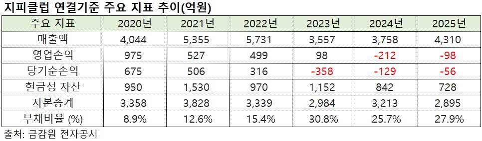 (출처=금감원 전자공시)