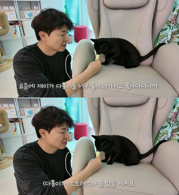 (출처=유튜브 채널 '행복해다홍' 캡처)