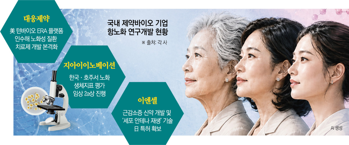 (그래픽=신미영 기자 win8226@)