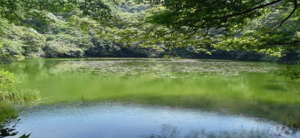 ▲제주도 물찻오름 습지 (사진제공=제주도)