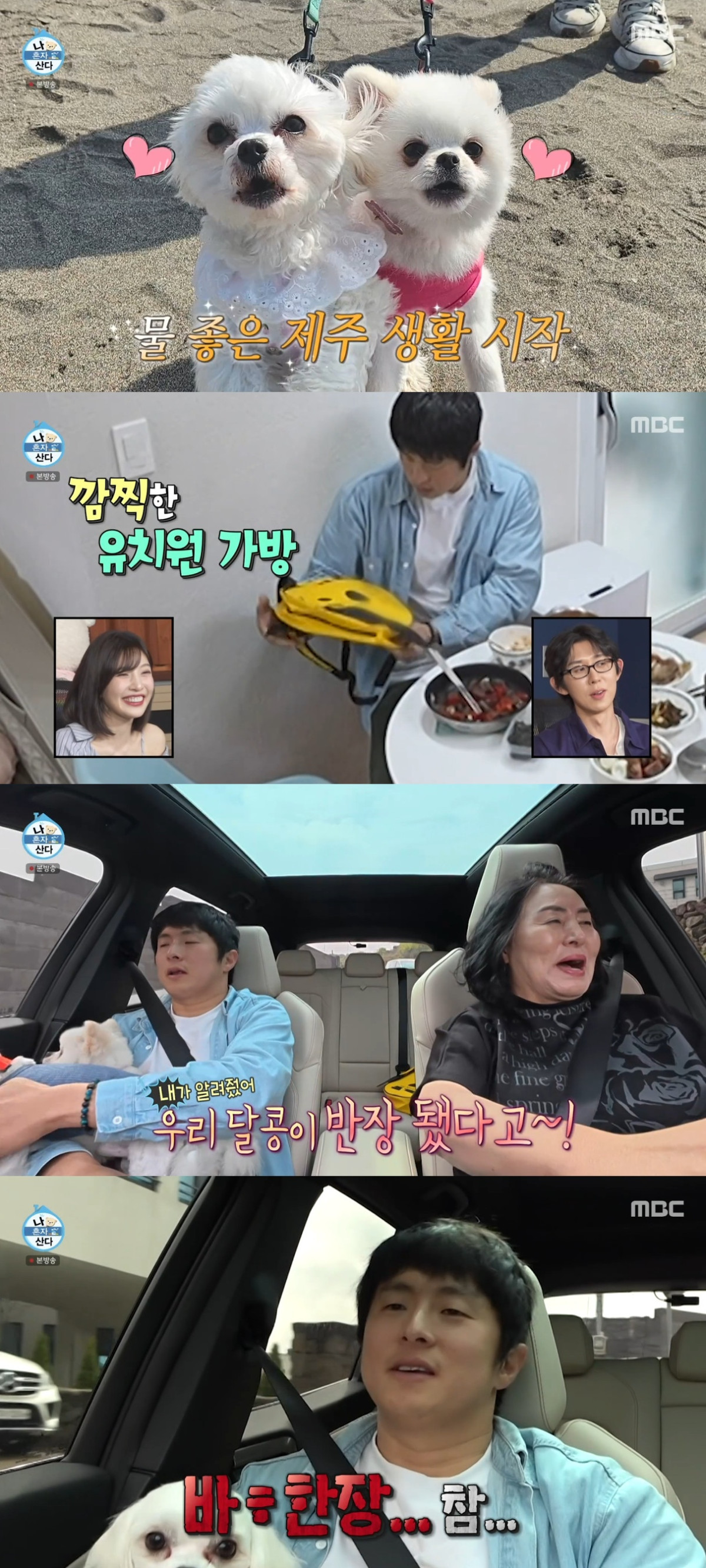 (출처=MBC '나 혼자 산다' 캡처)