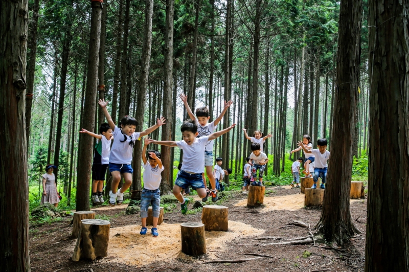 ▲전남 장흥군 편백숲 우드랜드. (사진제공=전남도)