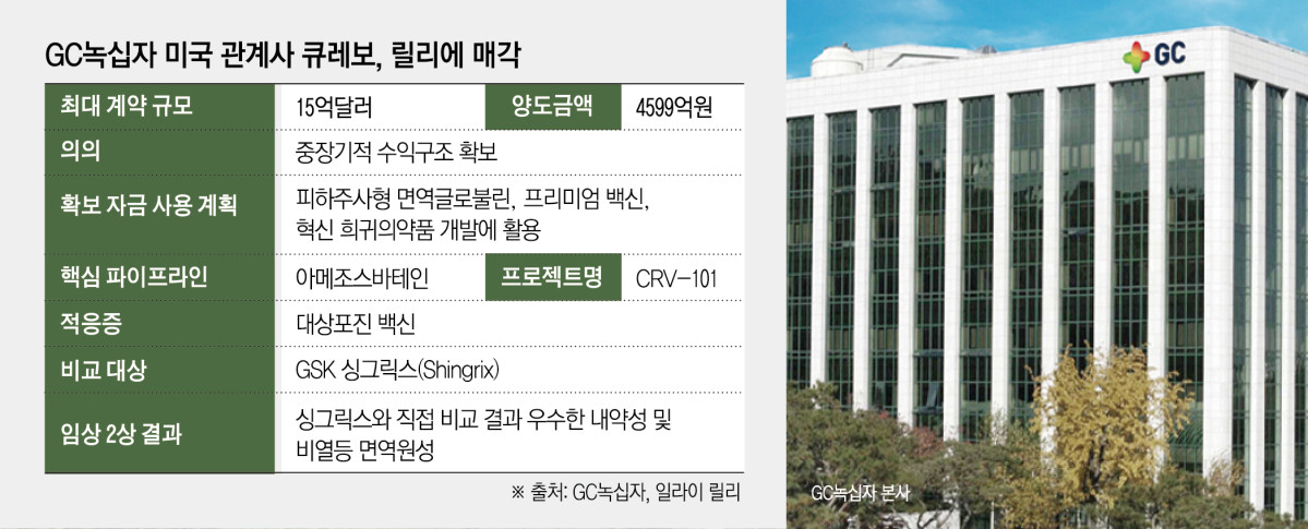 (그래픽=신미영 기자 win8226@)