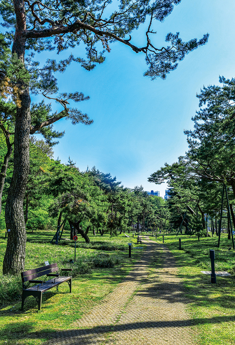 (이현숙 여행작가)
