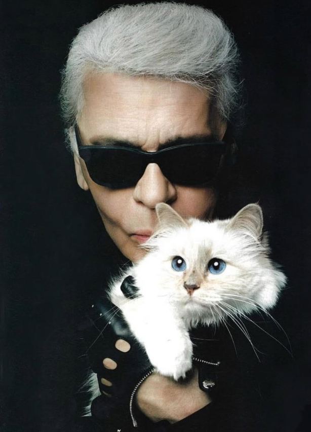 ▲칼 라거펠트와 반려묘 슈페트. (출처=슈페트 인스타그램 @choupetteofficiel)