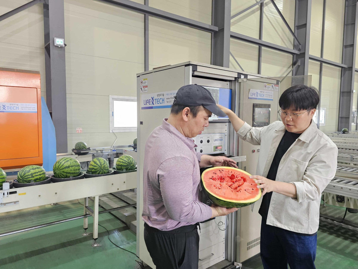 ▲박청규 쿠팡 로켓프레시 품질보증팀 매니저(오른쪽)가 협력사와 함께 AI 과일 선별기를 거친 수박을 교차 검증하고 있다 (사진제공=쿠팡)