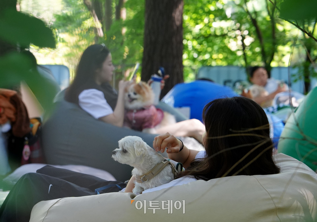 ▲사진제공=유한킴벌리