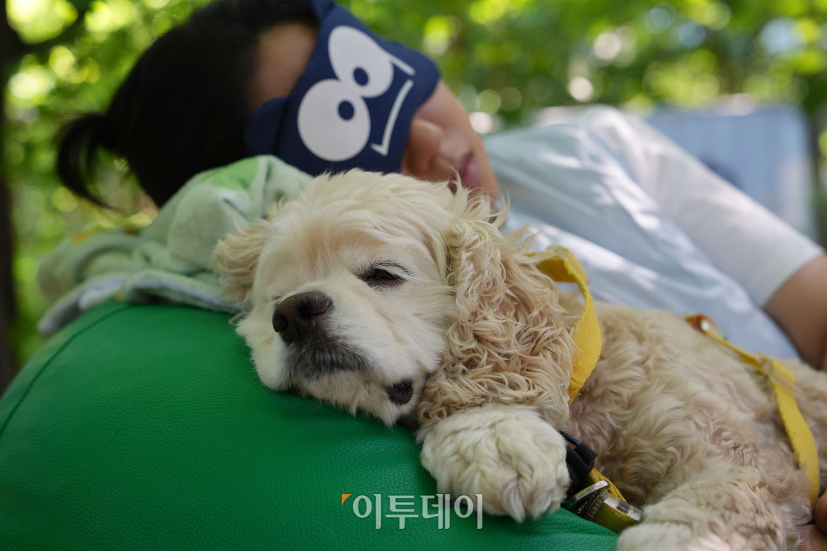 ▲사진제공=유한킴벌리