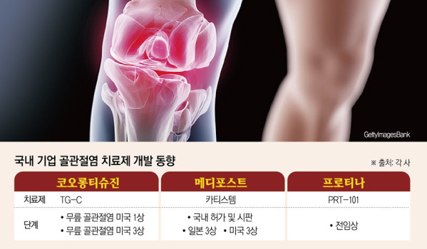 (그래픽=신미영)