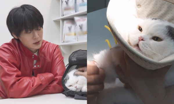 ▲'나 혼자 산다' 안재현, 고양이 안주(사진=MBC)