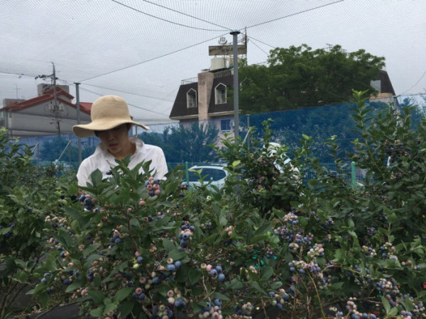 (함인희 이화여자대학교 사회학과 명예교수)