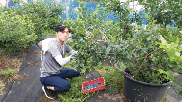 (함인희 이화여자대학교 사회학과 명예교수)