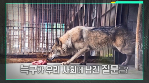 ▲'이슈픽 쌤과 함께' (사진출처=KBS 1TV)