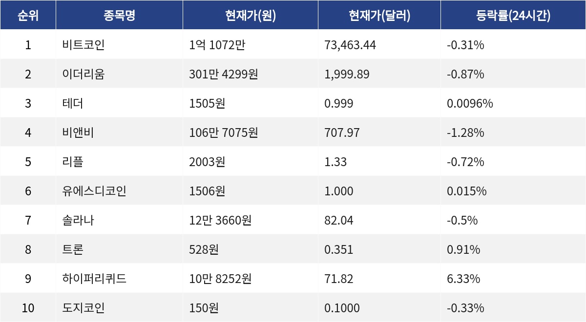 ▲자료제공=MetaVX