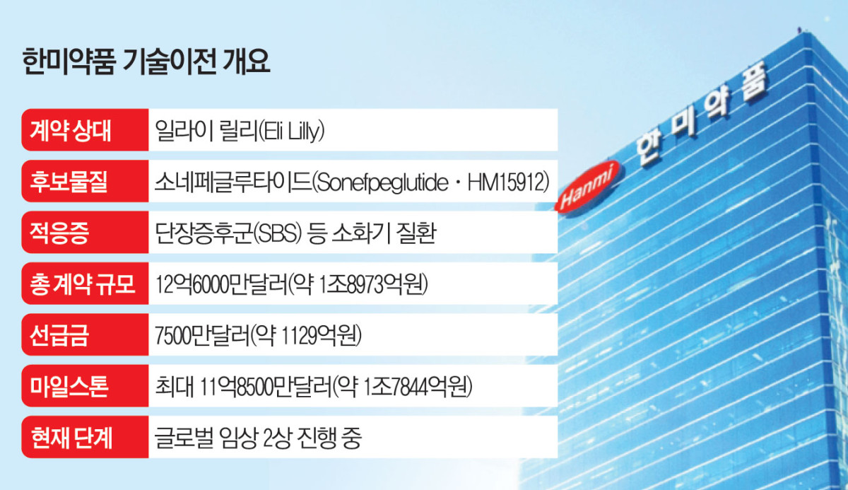 (그래픽=김소영 기자 sue@)