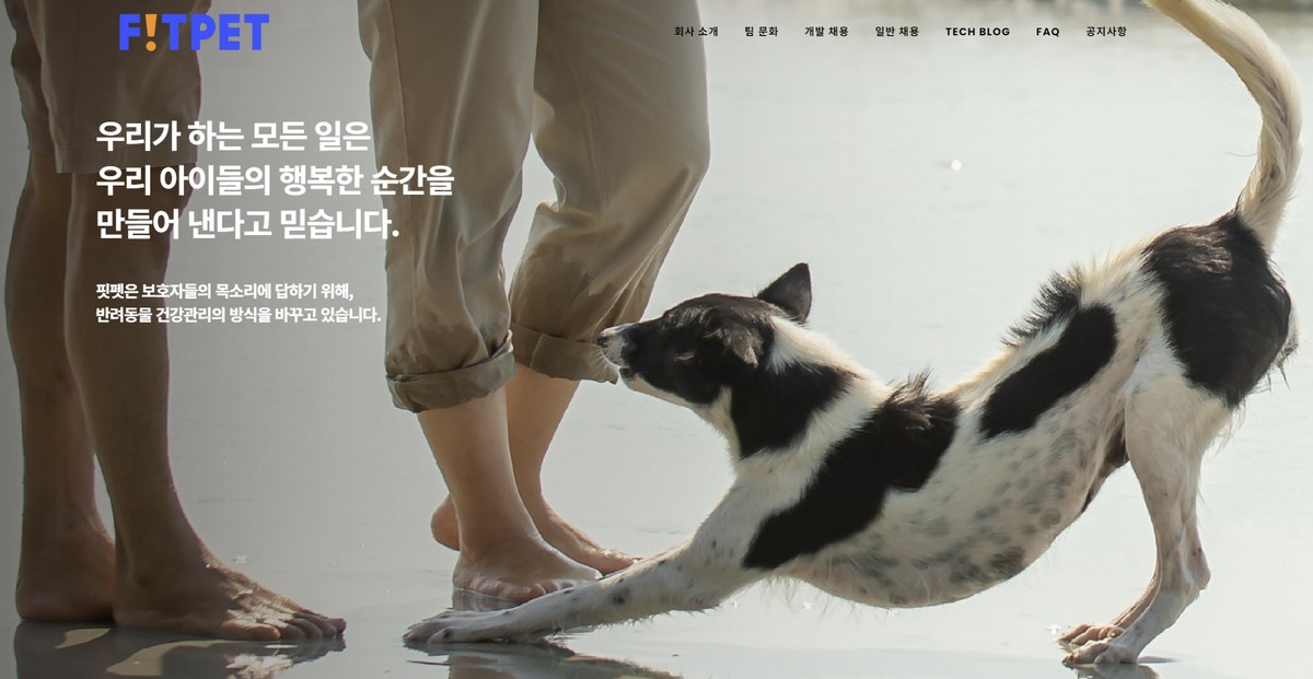 (출처=핏펫 홈페이지 캡처)