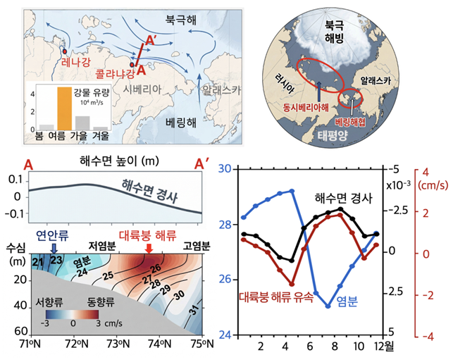 ▲극지연구소가 북극 동시베리아해 해류의 계절별 흐름 변화를 분석해 해류 변동을 좌우하는 주요 원인을 규명했다. 이번 연구는 여름철 담수 유입에 따른 염분 변화가 해류 흐름에 미치는 영향을 밝혀낸 것으로 북극해 환경 변화와 미래 기후 예측에 중요한 과학적 근거를 제시했다는 점에서 의미가 있다는 평가다. (극지연구소)
