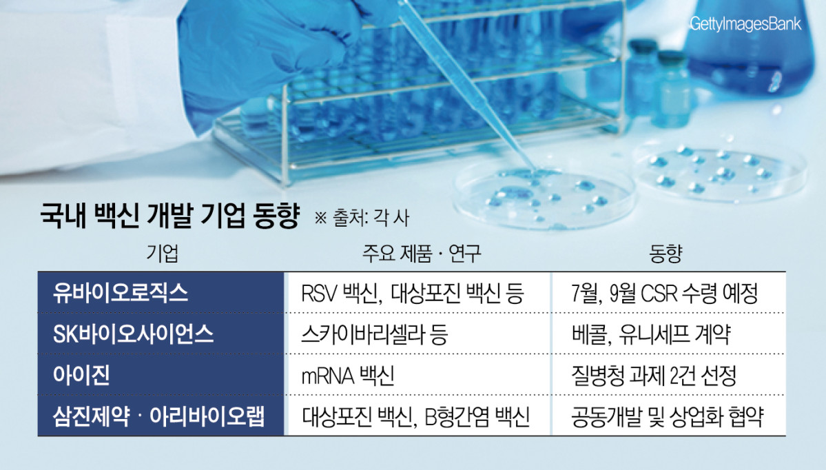 (그래픽=신미영 기자 win8226@)