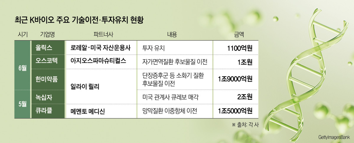 (그래픽=신미영 기자 win8226@)