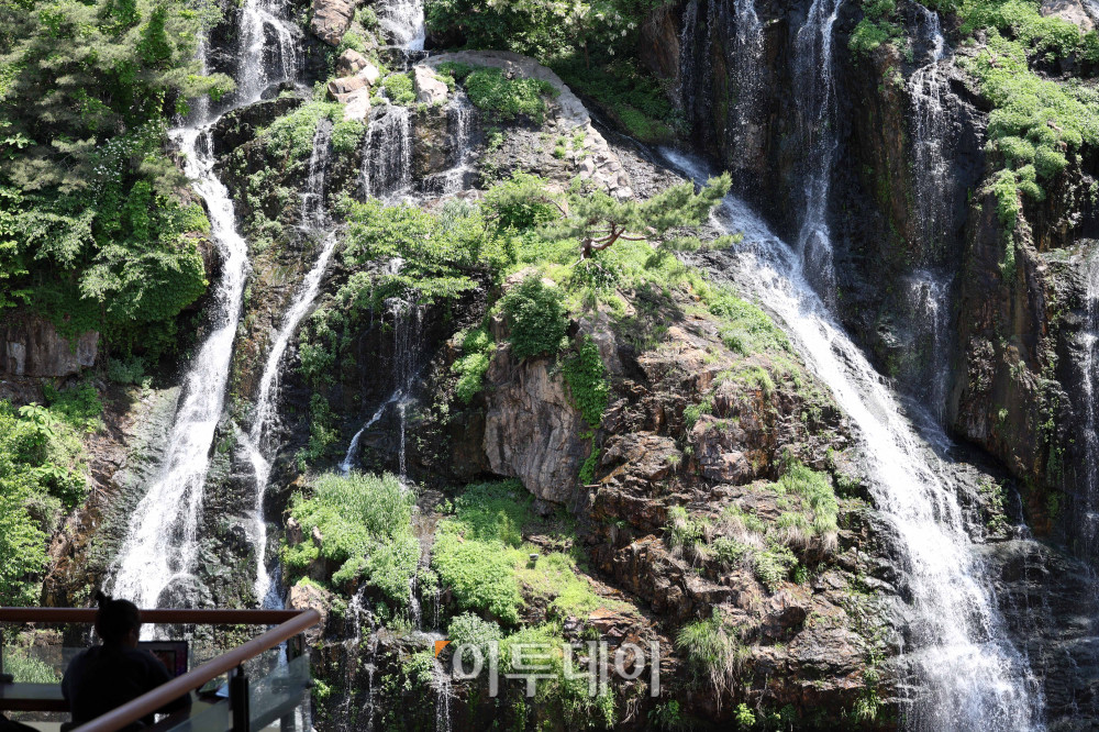 ▲서울의 낮 최고기온이 31도까지 오른 14일 서울 서대문구 홍제천 인공폭포에서 시민들이 더위를 피하고 있다. 고이란 기자 photoeran@
