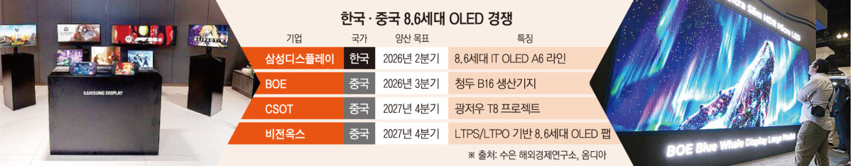 OLED 시장 키우는 삼성디플·LGD…中 추격에 기술 경쟁 격화