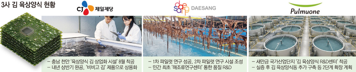 ▲국내 식품 3사 김 육상양식 현황 (이투데이 그래픽팀=손미경 기자)