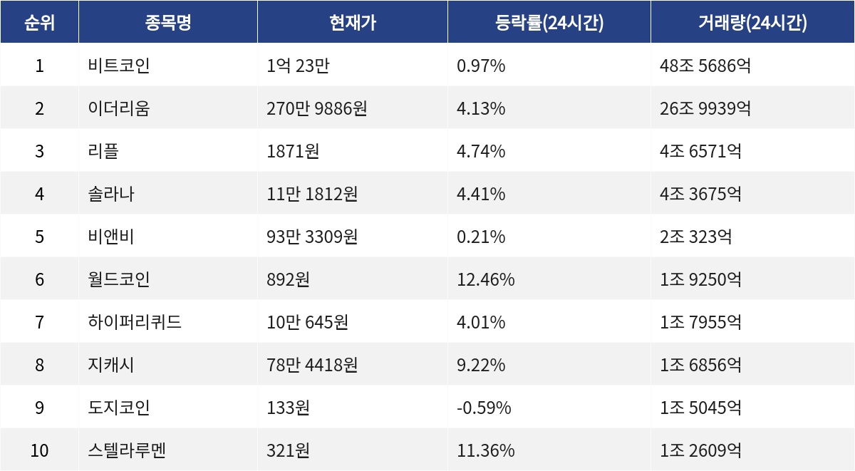 ▲자료제공=MetaVX