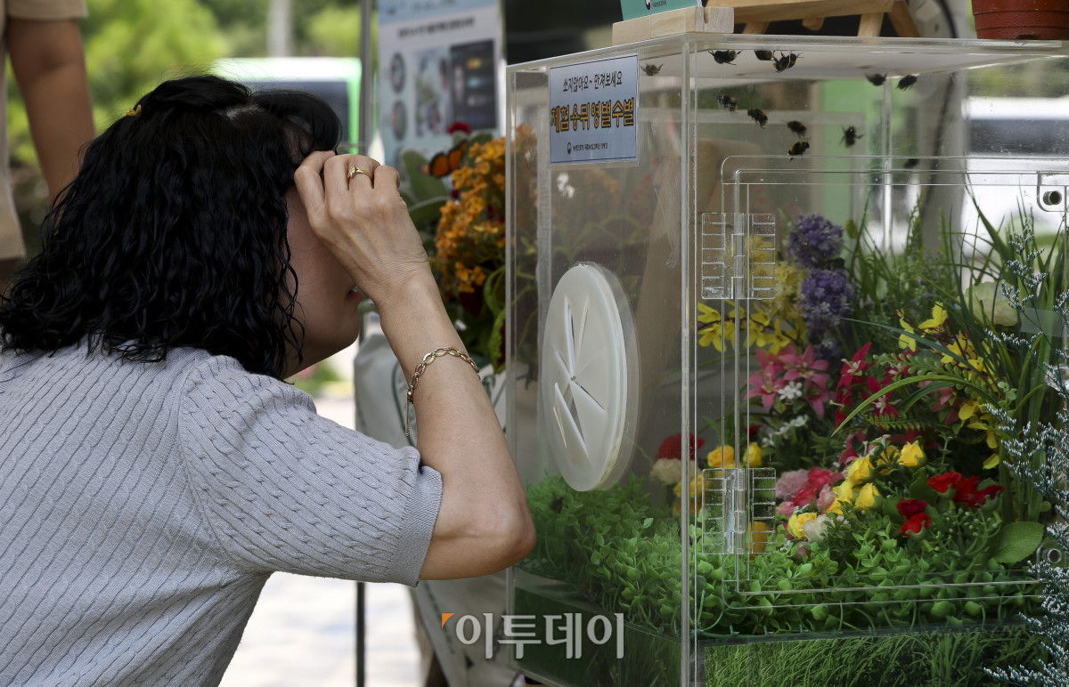 ▲16일 서울 중구 서울광장에서 열린 '2026 농촌여행 페스티벌'을 찾은 시민들이 부스를 둘러보고 있다. 농림축산식품부가 개최하는 이번 행사는 여름 휴가철을 앞두고 도시민들에게 농촌여행의 매력을 알리고, 농촌지역 경제에 활력을 불어넣기 위해 마련됐다. 이날 행사에는 전국 9개 도 대표 농촌체험휴양마을과 농촌관광 관계기관, 청년사업가 등이 참여해 총 67개의 홍보 및 체험 부스를 운영한다. 고성준 기자 joonko1@