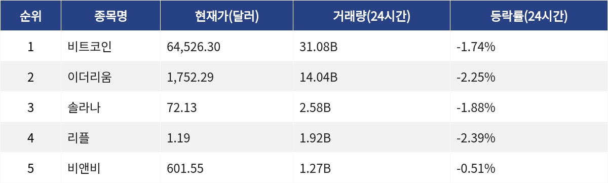 ▲자료제공=MetaVX