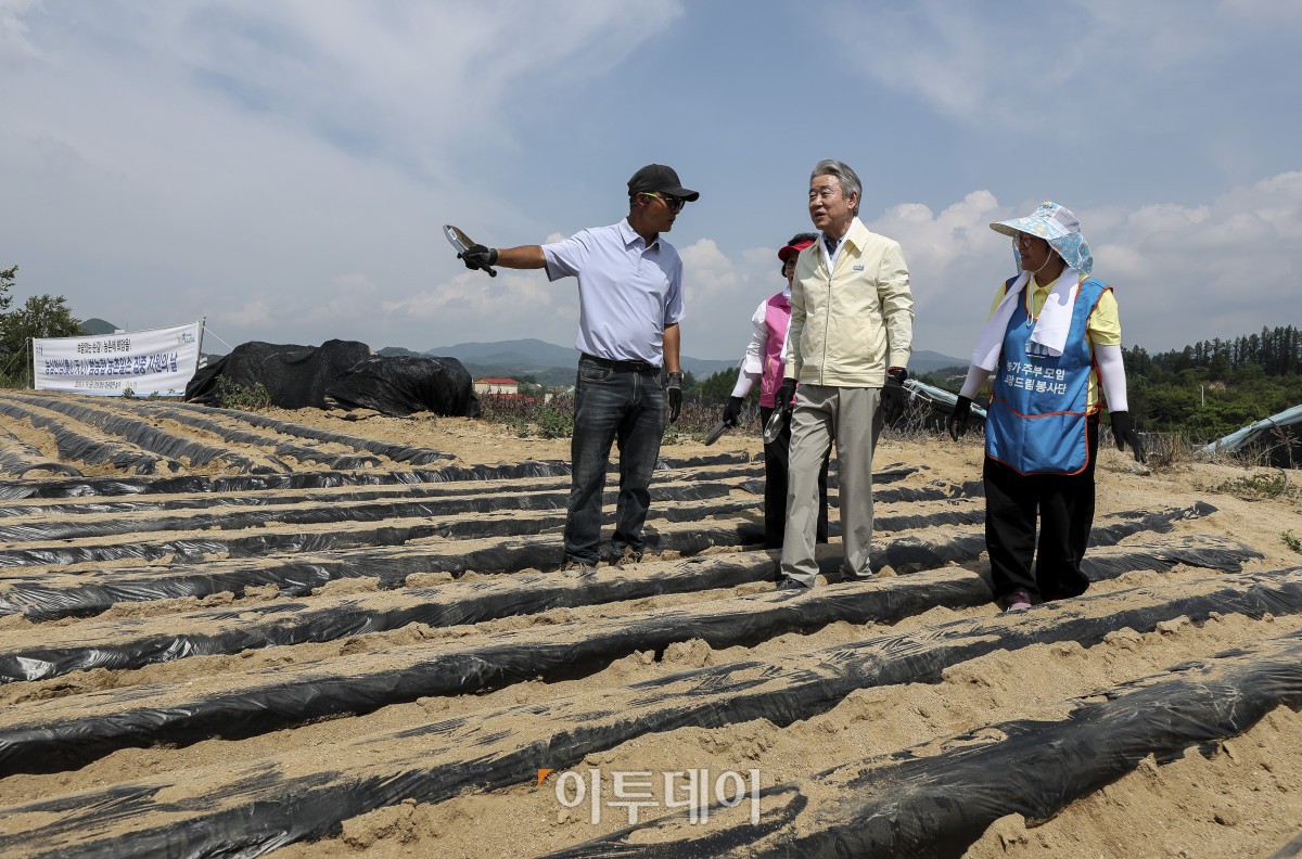 ▲강호동 농협중앙회장이 19일 강원 평창군 대관령면 횡계리의 한 농가에서 열린 '범농협 강원지역 농촌일손 집중 지원의날'에서 농업인의 애로사항을 청취하고 있다. 이날 강 회장은 대관령면 소재 농가를 찾아 무 파종작업, 양상추 모종 심기 등 농작업을 지원하며 농업인의 애로사항을 청취했다. 이번 범농협 농촌일손 집중 지원 기간에는 주요 농산물 가격 변동과 인건비 상승, 농촌 고령화에 따른 영농인력 부족으로 어려움을 겪는 농가 지원을 위해 전국 각지에서 범농협 임직원을 비롯해 농가주부모임, 고향주부모임, 대학생, 자원봉사자, 기업체 봉사단 등 약 1만 8천여명이 농업인 지원에 힘을 보탠다. 고성준 기자 joonko1@