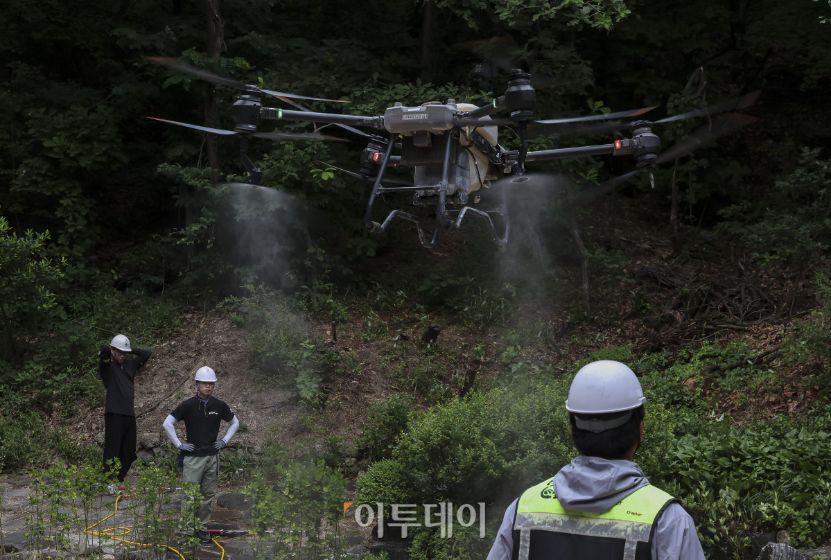 ▲25일 오전 서울 노원구 불암산 일대에서 붉은등우단털파리(러브버그) 살수드론이 물과 바람을 뿜어내고 있다. 서울시는 비와 바람에 취약한 러브버그의 특성을 고려해 살수드론을 이용해 발생지역 상공에서 물을 분사해 비행 능력을 떨어뜨리고, 활동과 확산을 일시적으로 억제한다. 살수드론 방제작업은 접근이 어려운 산림 및 경사지에 대한 광범위한 방제를 목적으로 진행된다. 고성준 기자 joonko1@