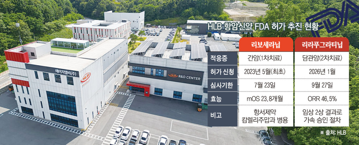 (그래픽=손미경 기자 sssmk@)
