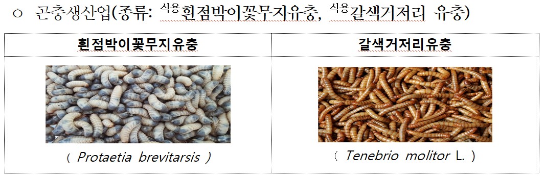 ▲식용곤충 생산단계 안전관리인증기준’ 적용 대상 (자료제공=농림축산식품부)