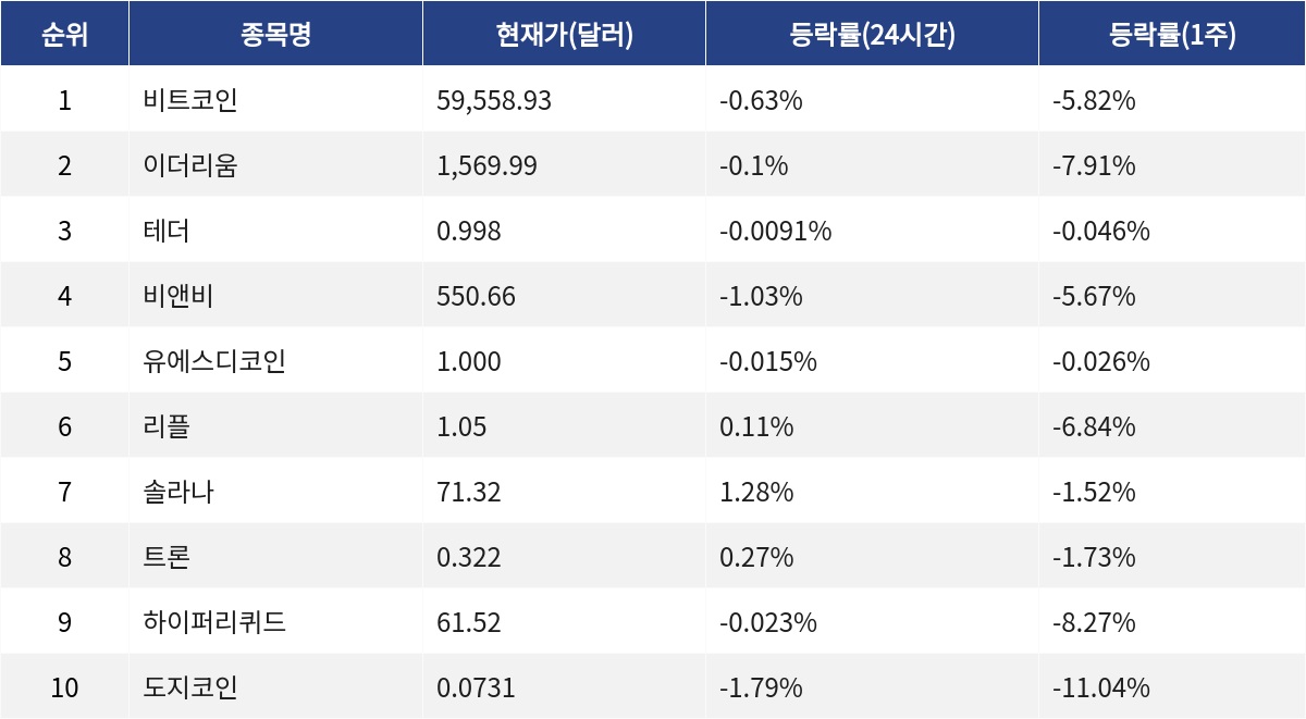 ▲자료제공=MetaVX