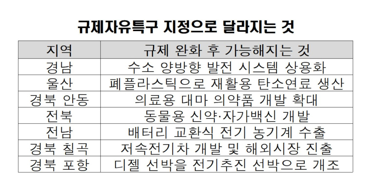 ▲규제자유특구 지정으로 달라지는 것. (국무조정실)