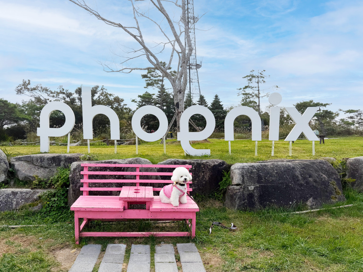 ▲휘닉스 파크 몽블랑 (사진제공=휘닉스)