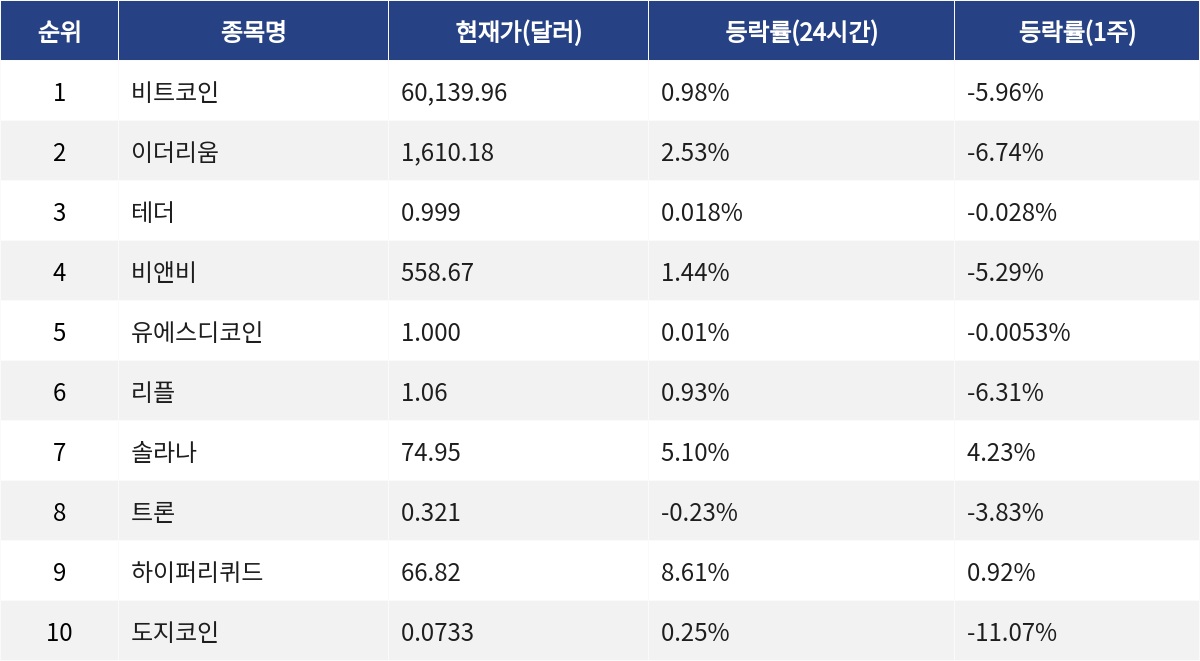 ▲자료제공=MetaVX