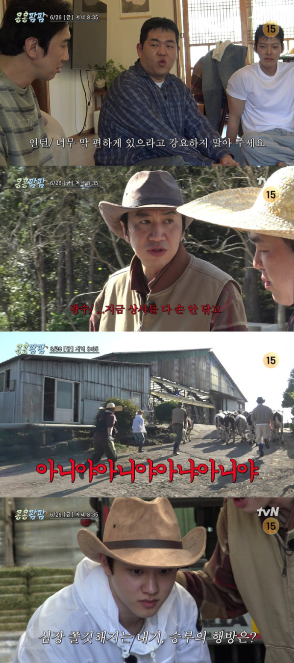 ▲'콩콩팜팜'(사진출처=tvN)