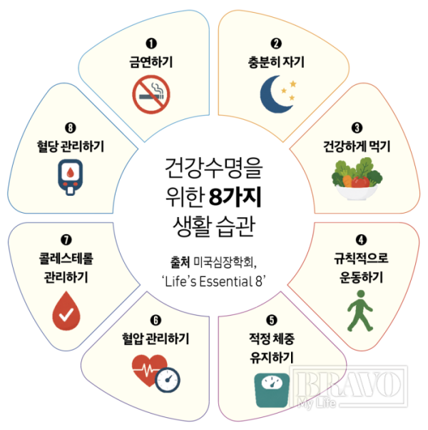 (이미지=유영현 기자ㆍAI 생성)