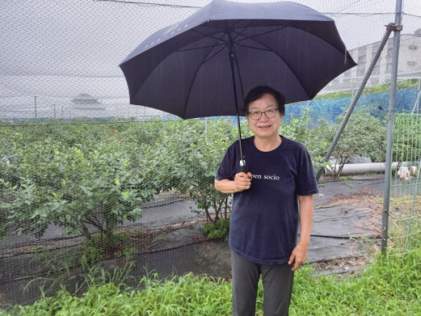 ▲블루베리 농장 주인장.(함인희 이화여자대학교 사회학과 명예교수)