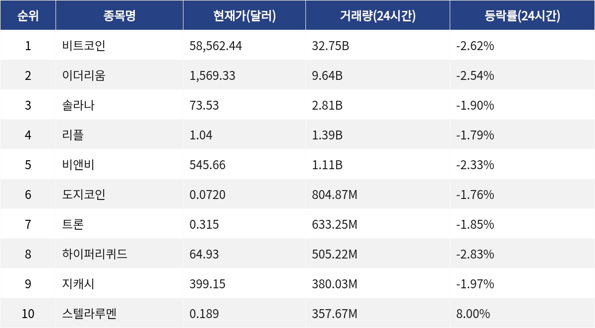 ▲자료제공=MetaVX