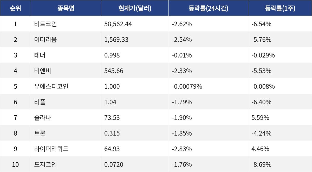 ▲자료제공=MetaVX
