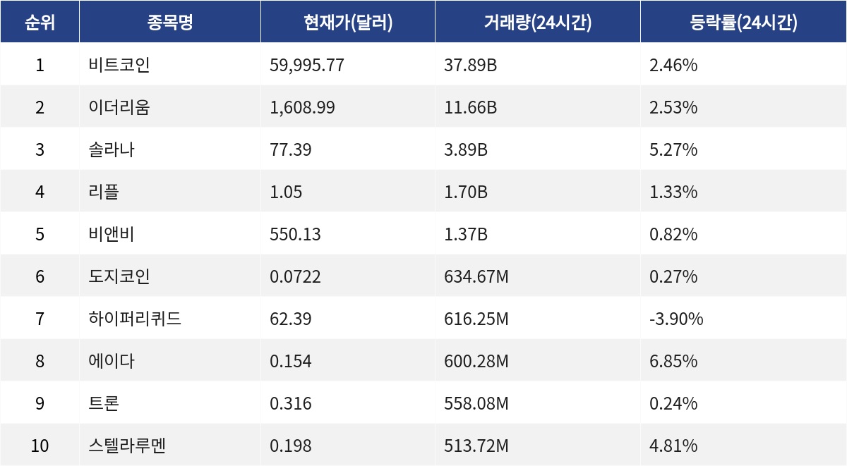 ▲자료제공=MetaVX