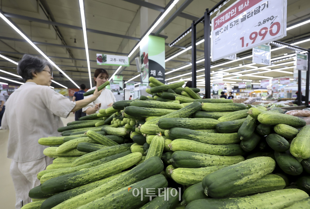 ▲지난달 소비자물가가 2년 6개월 만에 가장 큰 폭으로 상승한 가운데 2일 서울 시내의 한 대형마트를 찾은 시민들이 농수산물 코너에서 장을 보고 있다. 재경부에 따르면 6월 소비자물가 상승률은 3.2%로 전월(3.1%)보다 상승폭이 0.1%포인트 확대됐다. 중동 전쟁 여파로 국제 유가가 상승하며 석유류 물가가 4년 만에 최대 폭으로 상승한 여파로 보여진다. 고성준 기자 joonko1@