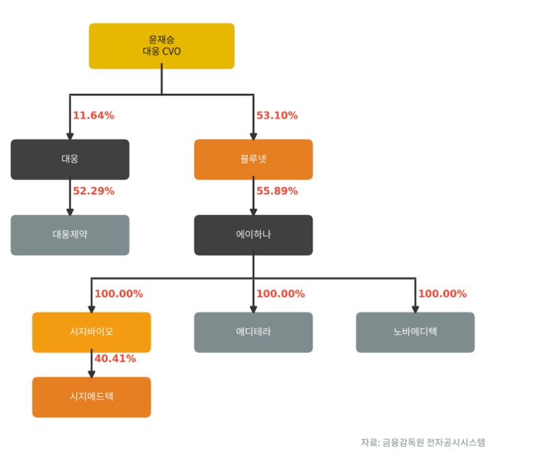 ▲시지바이오 지배구조 (출처=금융감독원 전자공시시스템)