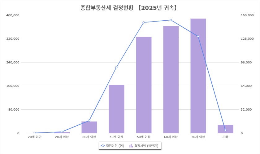 ▲2025년 종합부동산세 연령대별 결정현황(국세통계포털)