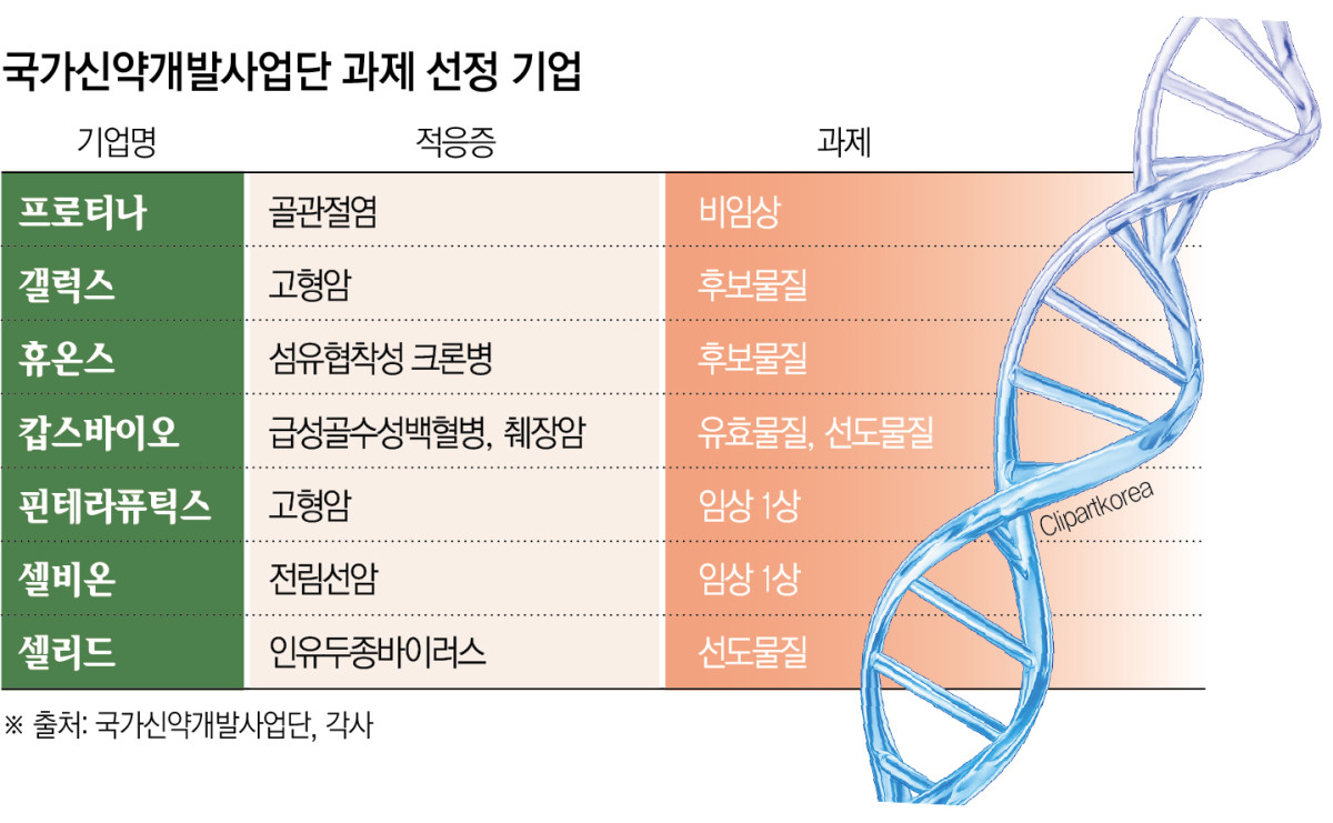 (그래픽=신미영 기자 win8226@)