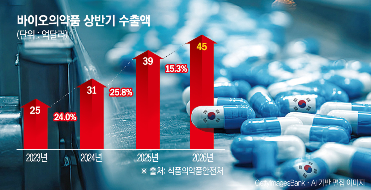 (그래픽=신미영 기자 win8226@)